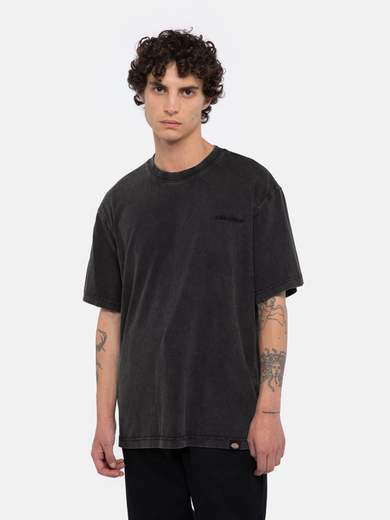 DICKIES DK0A866B