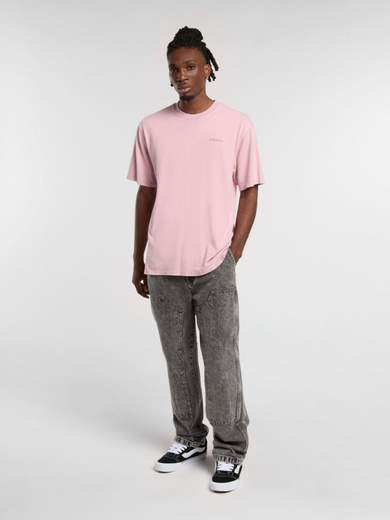 DICKIES DK0A866B