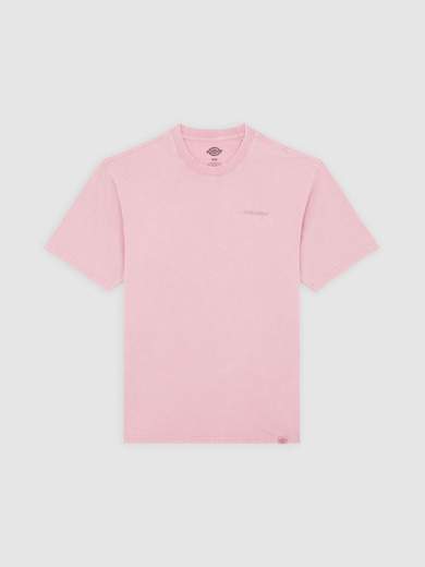 DICKIES DK0A866B