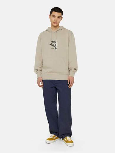 DICKIES DK0A4YEC