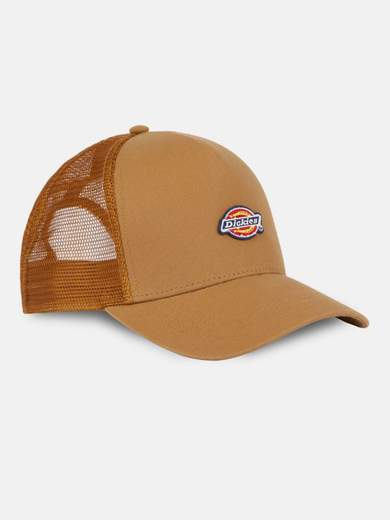 DICKIES DK0A4YV3