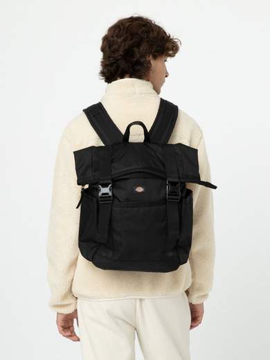 DICKIES DK0A4YHL