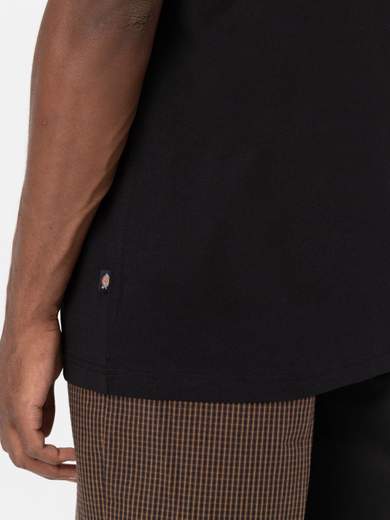 DICKIES DK0A4YFC