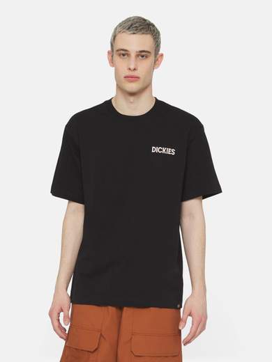 DICKIES DK0A4YRD