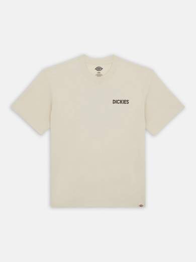 DICKIES DK0A4YRD