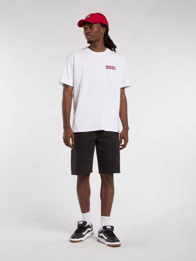 DICKIES DK0A4Z8U