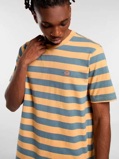 DICKIES DK0A4Y8Y