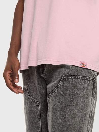 DICKIES DK0A866B