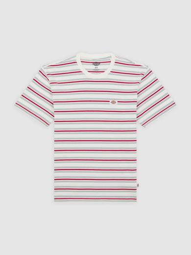 DICKIES DK0A4Z8S