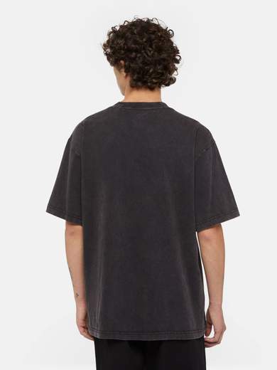 DICKIES DK0A866B
