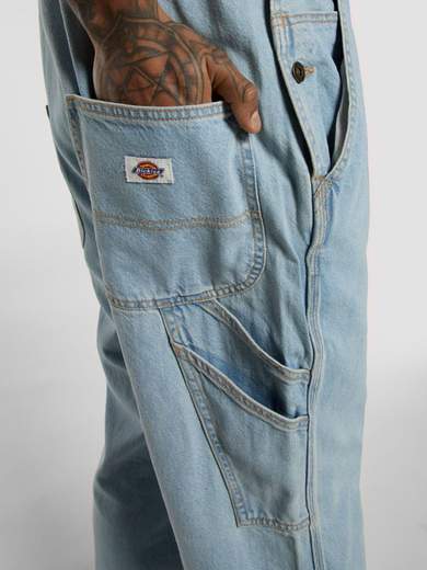 DICKIES DK0A4XYA