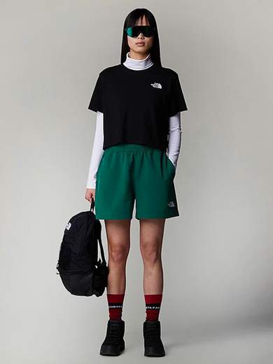 THE NORTH FACE NF0A87U4