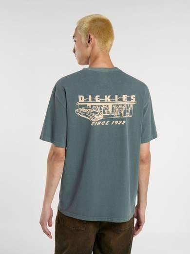 DICKIES DK0A4Z8X