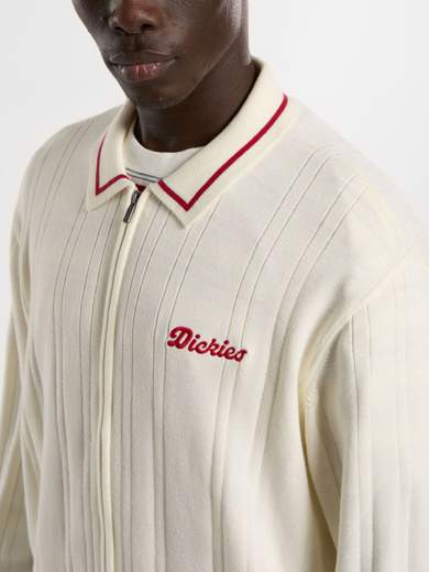 DICKIES DK0A4Z79