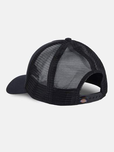 DICKIES DK0A4YV3