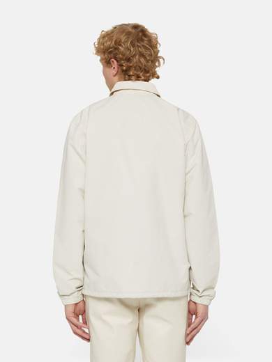 DICKIES DK0A4XEW