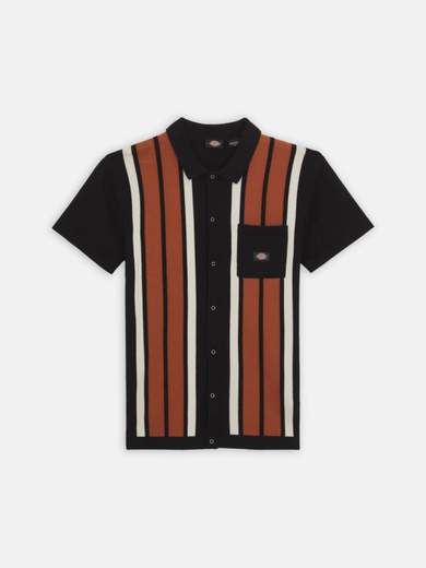 DICKIES DK0A4YSO
