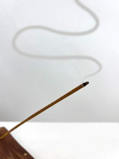 ORGANIC GOODNESS INC.STICK