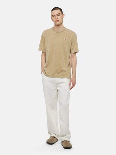 DICKIES DK0A4YRO