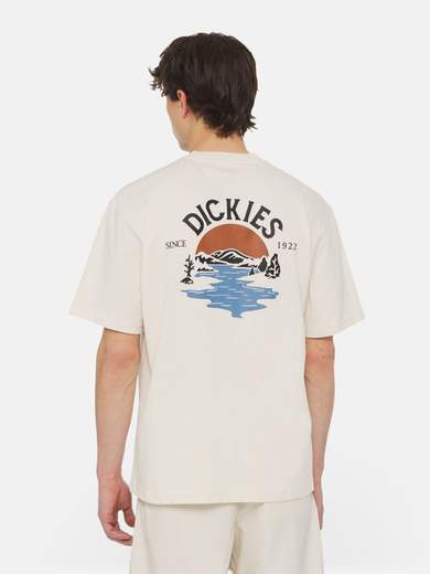 DICKIES DK0A4YRD