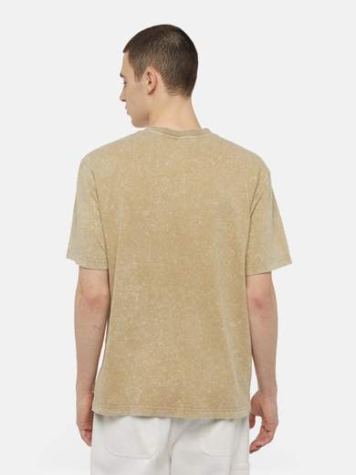 DICKIES DK0A4YRO