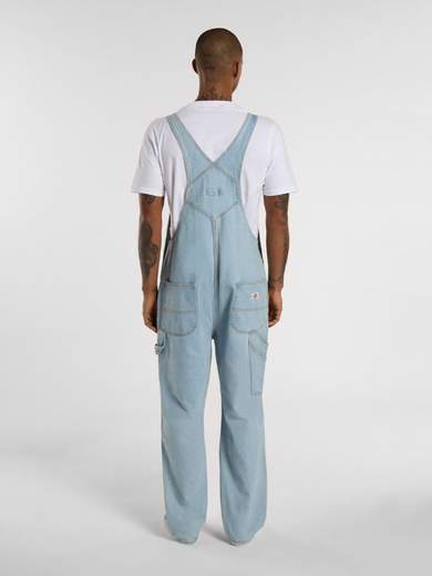 DICKIES DK0A4XYA