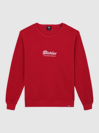 DICKIES DK0A8682