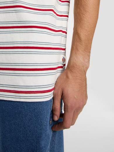 DICKIES DK0A4Z8S