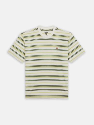 DICKIES DK0A4YR1