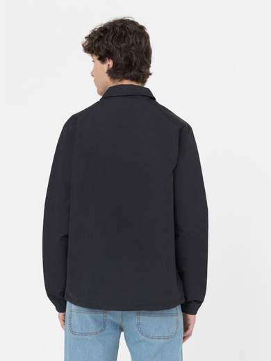 DICKIES DK0A4XEW