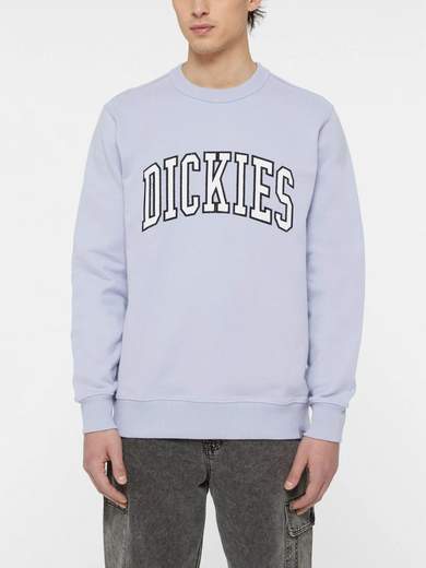 DICKIES DK0A4XAB