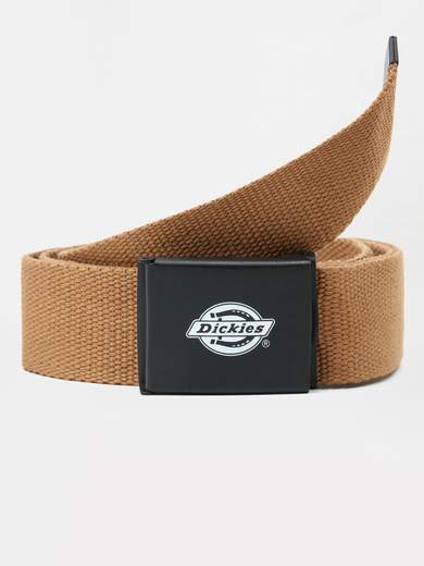 DICKIES DK0A4X7E
