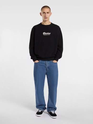DICKIES DK0A8682
