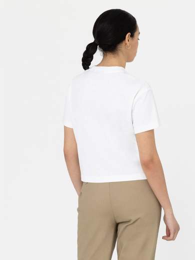 DICKIES DK0A4Y8L