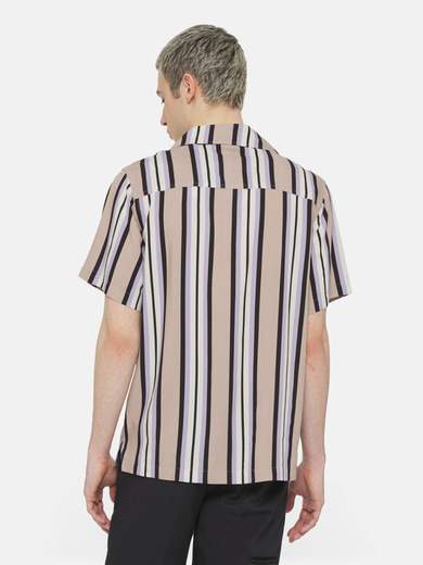 DICKIES DK0A4YYS
