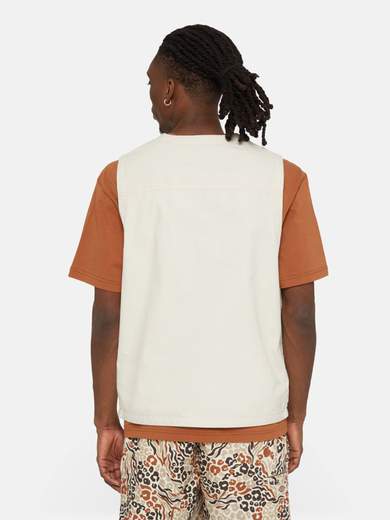 DICKIES DK0A4YQP