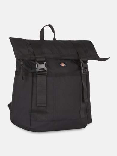 DICKIES DK0A4YHL