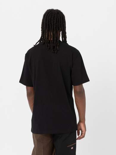 DICKIES DK0A4YFC