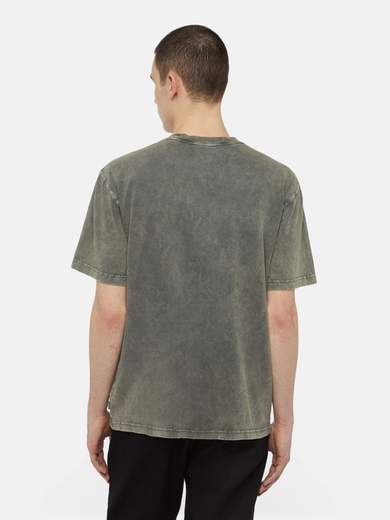 DICKIES DK0A4YRO