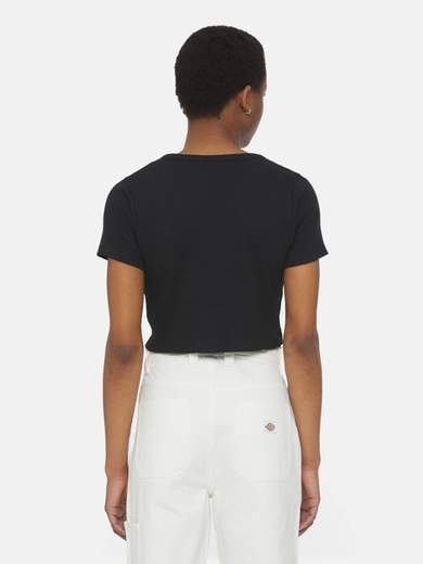 DICKIES DK0A4YRU
