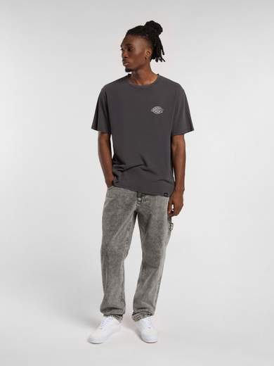DICKIES DK0A4XEC