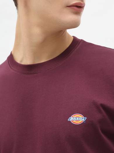DICKIES DK0A4XDB