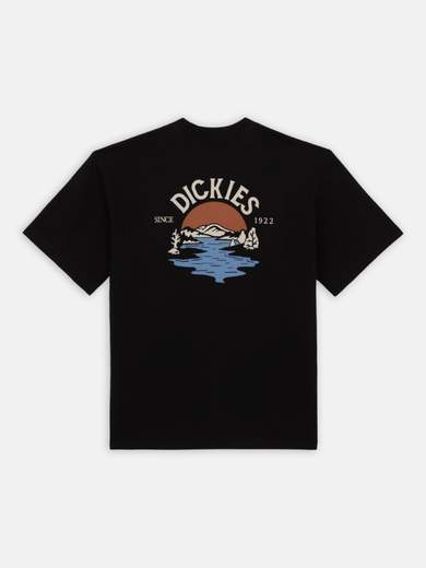 DICKIES DK0A4YRD