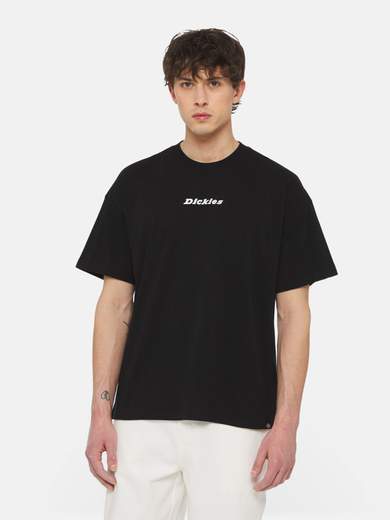 DICKIES DK0A4YRN