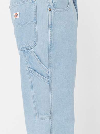 DICKIES DK0A4XEC
