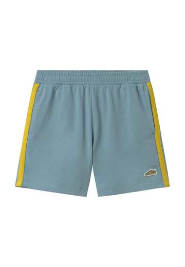 Puma Pantaloncini Sportivi 695487