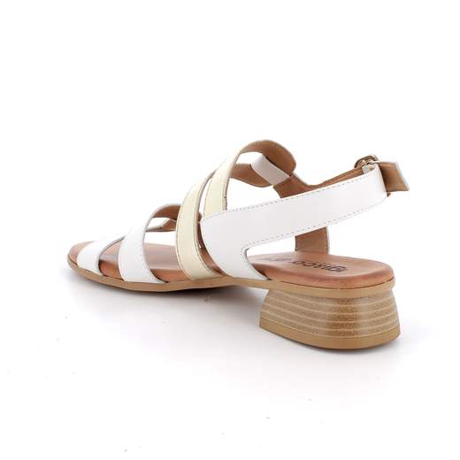 Igi&co Sandalo Donna 1191622