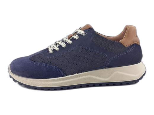 IGI&CO 1118311 Saronno
