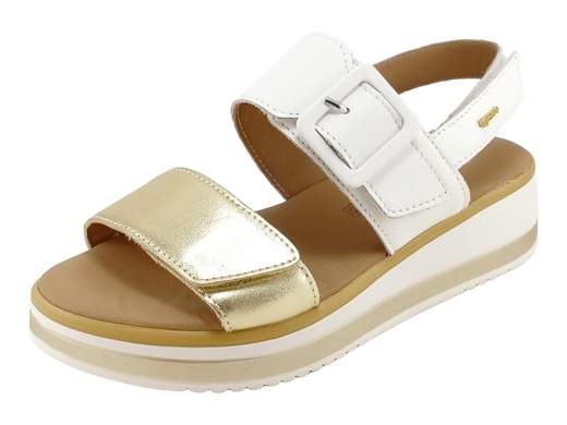 IGI&CO 1186533 Patricia