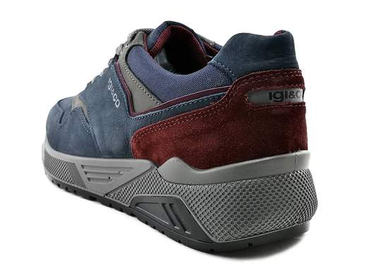 Sneaker IGI&CO 2640022